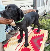 processed/1b2ff697-34ba-418a-bb6a-733c37c79592/listing/6e2af884-5001-4c90-a4b2-0bbb7c067a79/8c319173-6045-4fe1-9c1c-f25dc9066d5e