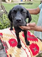 processed/1b2ff697-34ba-418a-bb6a-733c37c79592/listing/6e2af884-5001-4c90-a4b2-0bbb7c067a79/f279408c-3c38-47c8-a266-e292a5a39ac7