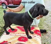 processed/1b2ff697-34ba-418a-bb6a-733c37c79592/listing/6e2af884-5001-4c90-a4b2-0bbb7c067a79/fc6e53c8-302a-4218-a9d4-9dd111b8c778