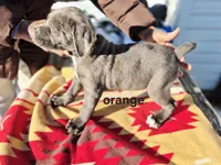 processed/1b2ff697-34ba-418a-bb6a-733c37c79592/listing/8073068f-239b-4656-a6eb-e0658235ab78/2b02f95c-f1c5-4e07-9060-7a09c90230b0