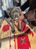 processed/1b2ff697-34ba-418a-bb6a-733c37c79592/listing/8073068f-239b-4656-a6eb-e0658235ab78/3995370d-c0ab-407e-9938-ee3d1b701a38