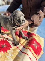 processed/1b2ff697-34ba-418a-bb6a-733c37c79592/listing/8073068f-239b-4656-a6eb-e0658235ab78/5e8f7cd0-9324-4ce4-96b3-8d8e40787cdc