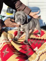 processed/1b2ff697-34ba-418a-bb6a-733c37c79592/listing/8073068f-239b-4656-a6eb-e0658235ab78/7b90005d-c795-4b4b-9cf3-9ae88862c8dc