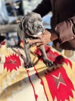 processed/1b2ff697-34ba-418a-bb6a-733c37c79592/listing/8073068f-239b-4656-a6eb-e0658235ab78/8c6191e6-65e6-43c9-9c4c-5ec4277dd2f0