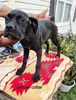 processed/1b2ff697-34ba-418a-bb6a-733c37c79592/listing/a85fc361-c227-409c-a4ee-0e9b00a96c55/083f6604-f585-473c-82e4-186060c8325a