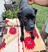 processed/1b2ff697-34ba-418a-bb6a-733c37c79592/listing/a85fc361-c227-409c-a4ee-0e9b00a96c55/318348c9-3f22-4064-a5ee-d50821c19a60