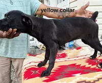 processed/1b2ff697-34ba-418a-bb6a-733c37c79592/listing/a85fc361-c227-409c-a4ee-0e9b00a96c55/3522e54e-21d0-4b0a-bed0-569815628d08