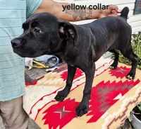 processed/1b2ff697-34ba-418a-bb6a-733c37c79592/listing/a85fc361-c227-409c-a4ee-0e9b00a96c55/660e2c4f-f45a-4339-9a7d-a8f6c5939b3a