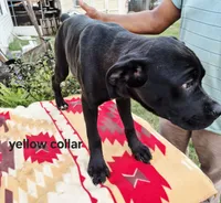 processed/1b2ff697-34ba-418a-bb6a-733c37c79592/listing/a85fc361-c227-409c-a4ee-0e9b00a96c55/8f8b2817-6a59-4110-8027-4dafb87109c9