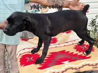 processed/1b2ff697-34ba-418a-bb6a-733c37c79592/listing/a85fc361-c227-409c-a4ee-0e9b00a96c55/f9d1f08c-99a0-4338-90d9-97a8dece4038