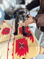 processed/1b2ff697-34ba-418a-bb6a-733c37c79592/listing/af96e850-65a6-4926-b814-44a395919206/4a86b64b-91d3-4af4-8771-abc56849b734