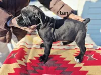 processed/1b2ff697-34ba-418a-bb6a-733c37c79592/listing/af96e850-65a6-4926-b814-44a395919206/7b62f6f4-3f43-4546-9c4d-2f28a871b000