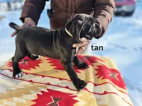 processed/1b2ff697-34ba-418a-bb6a-733c37c79592/listing/af96e850-65a6-4926-b814-44a395919206/ad830e42-a300-4851-baf7-823611a29569