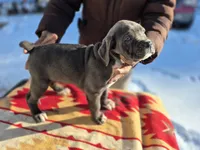 processed/1b2ff697-34ba-418a-bb6a-733c37c79592/listing/b1ff8d61-a434-4c98-94e8-5ce447c9e966/0a8b853e-fdd6-489a-91d1-f6eab80f1ae3