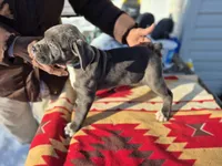 processed/1b2ff697-34ba-418a-bb6a-733c37c79592/listing/b1ff8d61-a434-4c98-94e8-5ce447c9e966/5c7f8983-479e-428b-9214-71848ae53c91