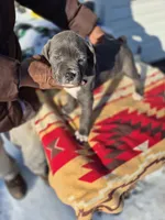 processed/1b2ff697-34ba-418a-bb6a-733c37c79592/listing/b1ff8d61-a434-4c98-94e8-5ce447c9e966/73bbc405-4135-4316-80de-f14077dd762d