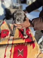 processed/1b2ff697-34ba-418a-bb6a-733c37c79592/listing/b1ff8d61-a434-4c98-94e8-5ce447c9e966/a5eb2a77-4eec-4e27-8d58-63aaac0b0da4