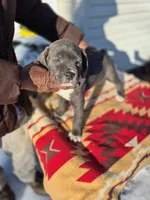 processed/1b2ff697-34ba-418a-bb6a-733c37c79592/listing/b1ff8d61-a434-4c98-94e8-5ce447c9e966/aa8094c8-677d-4389-9549-23170b632667