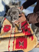 processed/1b2ff697-34ba-418a-bb6a-733c37c79592/listing/b1ff8d61-a434-4c98-94e8-5ce447c9e966/ce802866-cf6f-430e-90b9-520c3217d24a