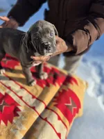 processed/1b2ff697-34ba-418a-bb6a-733c37c79592/listing/b1ff8d61-a434-4c98-94e8-5ce447c9e966/e0f493fc-3b6c-4376-905e-a9b72e62b654