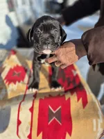 processed/1b2ff697-34ba-418a-bb6a-733c37c79592/listing/bed3d2c7-4dfe-47bc-a43e-1d5829f65d75/3ec0e203-2ee8-40f6-9306-8759dce64647