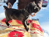 processed/1b2ff697-34ba-418a-bb6a-733c37c79592/listing/bed3d2c7-4dfe-47bc-a43e-1d5829f65d75/6da06914-0d37-4707-bd58-89b3f8a58c07