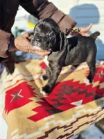 processed/1b2ff697-34ba-418a-bb6a-733c37c79592/listing/bed3d2c7-4dfe-47bc-a43e-1d5829f65d75/a8723bfd-4f35-4663-a831-a3405369dd4d