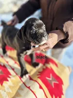 processed/1b2ff697-34ba-418a-bb6a-733c37c79592/listing/bed3d2c7-4dfe-47bc-a43e-1d5829f65d75/b399e38a-edd5-4b0a-95b6-532261005b75