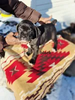 processed/1b2ff697-34ba-418a-bb6a-733c37c79592/listing/bed3d2c7-4dfe-47bc-a43e-1d5829f65d75/baa02e17-9d2a-4af5-abf3-ae3f581e64f6