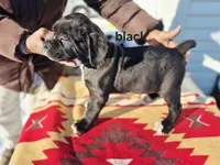 processed/1b2ff697-34ba-418a-bb6a-733c37c79592/listing/bed3d2c7-4dfe-47bc-a43e-1d5829f65d75/e2cccca3-0aef-4121-a94d-3869ededb4ec