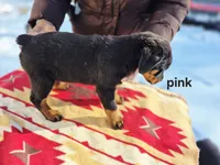 processed/1b2ff697-34ba-418a-bb6a-733c37c79592/listing/e59ac588-fd85-4e3d-8946-28d4aa9f3119/9091b466-6125-4858-a6f7-a18a5478fda4