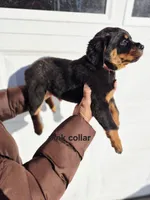 processed/1b2ff697-34ba-418a-bb6a-733c37c79592/listing/e59ac588-fd85-4e3d-8946-28d4aa9f3119/9499cb6e-15c1-40e5-a1eb-75de7d2aec6d