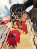 processed/1b2ff697-34ba-418a-bb6a-733c37c79592/listing/e59ac588-fd85-4e3d-8946-28d4aa9f3119/aa27c423-d3d0-43d8-be7b-b45ad0254bf0