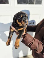 processed/1b2ff697-34ba-418a-bb6a-733c37c79592/listing/e59ac588-fd85-4e3d-8946-28d4aa9f3119/d21ec8a1-e7a8-4cd0-8222-595039052e9d