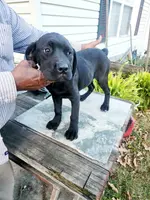 processed/1b2ff697-34ba-418a-bb6a-733c37c79592/listing/ec2aaf3a-5302-44cf-80cb-643ec944df58/2563c8ef-aa23-438d-b515-44a5dfe0de20