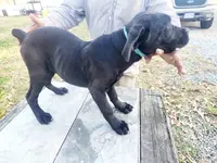 processed/1b2ff697-34ba-418a-bb6a-733c37c79592/listing/ec2aaf3a-5302-44cf-80cb-643ec944df58/9ff32a15-3c9e-4537-8c83-4e61479c68ec