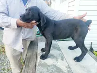 processed/1b2ff697-34ba-418a-bb6a-733c37c79592/listing/ec2aaf3a-5302-44cf-80cb-643ec944df58/c78ba6f9-b196-406f-846b-a8ad12eba36a