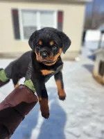 processed/1b2ff697-34ba-418a-bb6a-733c37c79592/listing/ef98e4c7-a763-4374-ac71-faf217751809/070d309c-fe4b-431a-b2df-e7c745403374