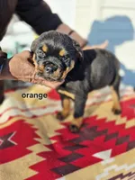 processed/1b2ff697-34ba-418a-bb6a-733c37c79592/listing/ef98e4c7-a763-4374-ac71-faf217751809/1bfc09bd-aa06-401f-8cfd-eaea10e464eb