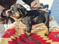 processed/1b2ff697-34ba-418a-bb6a-733c37c79592/listing/ef98e4c7-a763-4374-ac71-faf217751809/791cc6f4-fd51-4eb1-bea9-95493d43473f