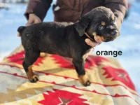 processed/1b2ff697-34ba-418a-bb6a-733c37c79592/listing/ef98e4c7-a763-4374-ac71-faf217751809/e6794bb5-2ebd-404a-b72c-051929888bac