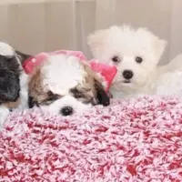 processed/1b345ae2-31e4-4244-a9ca-06cd0a036aed/facility/0c284181-7ed0-4b64-a83c-08d7b19df3f7