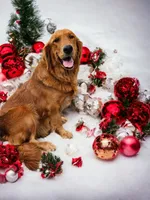 processed/1b345ae2-31e4-4244-a9ca-06cd0a036aed/facility/39e18acc-a72c-4194-8696-febd6bd86f5d