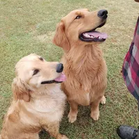 processed/1b345ae2-31e4-4244-a9ca-06cd0a036aed/facility/74f8e398-7504-48da-aff2-01b3f7d70a4e