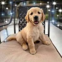 processed/1b345ae2-31e4-4244-a9ca-06cd0a036aed/facility/98afbb6f-69ad-45e3-a4f6-b9cd7751a9ec