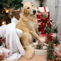 processed/1b345ae2-31e4-4244-a9ca-06cd0a036aed/facility/b49e0adc-7258-45f0-bd6a-2c570418262c