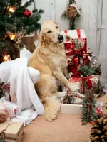 processed/1b345ae2-31e4-4244-a9ca-06cd0a036aed/facility/b49e0adc-7258-45f0-bd6a-2c570418262c