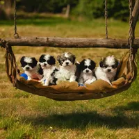 processed/1b345ae2-31e4-4244-a9ca-06cd0a036aed/facility/ce12c034-0692-4e35-a3ef-69dfffeaeb13