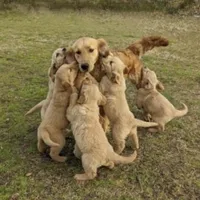 processed/1b345ae2-31e4-4244-a9ca-06cd0a036aed/facility/fb3f0078-a5ee-4809-9c0b-5b94d1a81b27