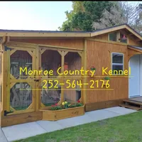 Shichon Teddy Bear DUE, a  Shichon for sale in Chesapeake, VA – Photo 8 of 8